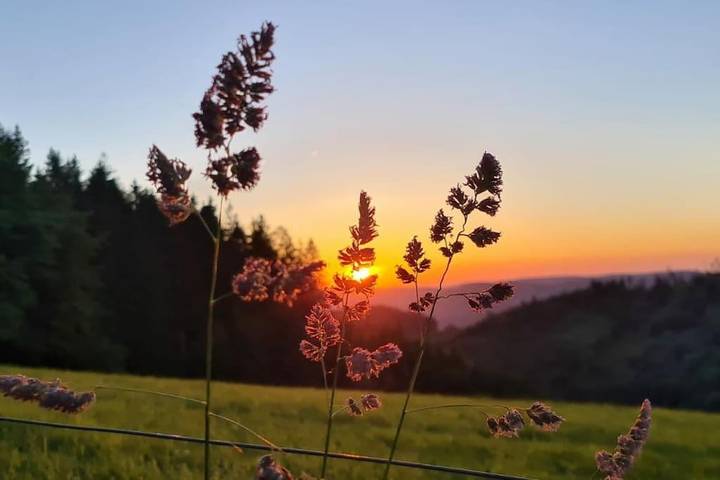 Location de vacances pour 5 personnes, avec jardin ainsi que vue et sauna, animaux acceptés dans Aydoilles - 4