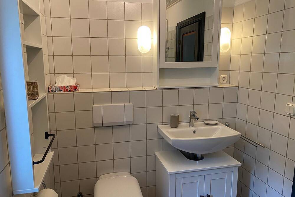 Große Elbliebe, Deutschland in Wischhafen, Cuxland