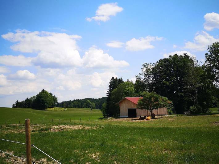 Ferienwohnung für 4 Personen, mit Garten und Pool sowie Ausblick in Fischbachau - 4