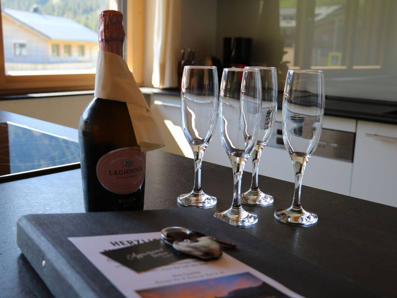 Ganze Ferienwohnung, Appartement Bettina in Schoppernau, Bregenzerwald