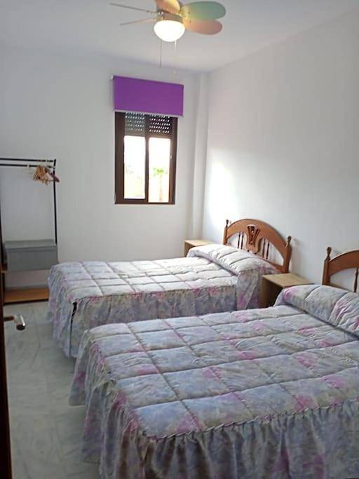 Casa rural para 6 personas, con terraza además de vistas y jardín, Se admiten mascotas en Campiña Sur Cordobesa - 4