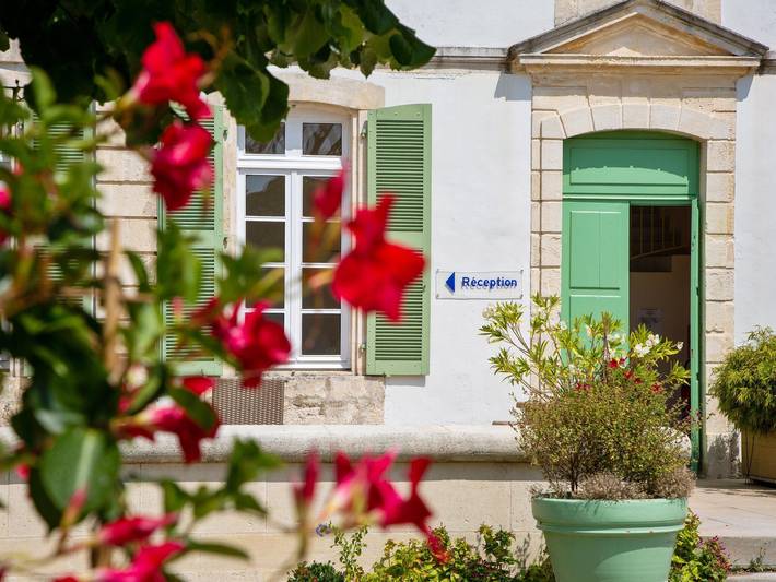 Gîte pour 3 personnes, avec piscine et sauna, animaux acceptés à Saint-Martin-de-Ré - 2