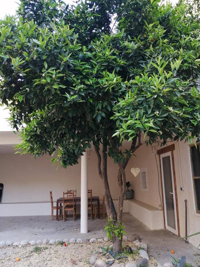 Gîte pour 6 personnes, avec terrasse à Ortaffa - 2