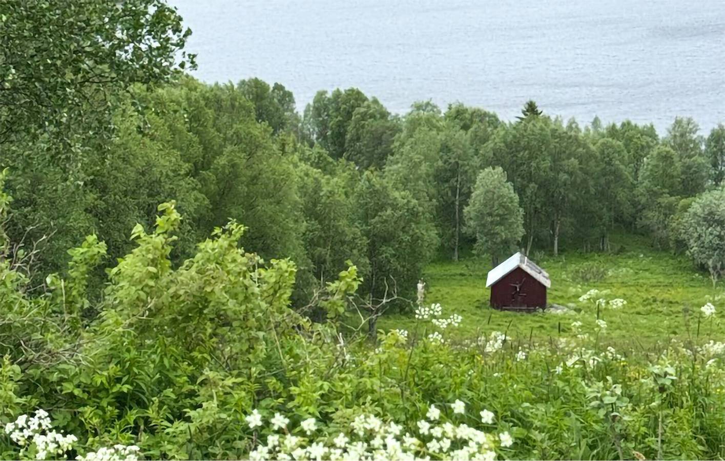 Hus för 8 Personer, med trädgård