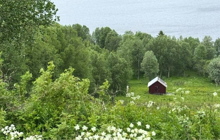 Hus för 8 Personer med trädgård in Jämtland