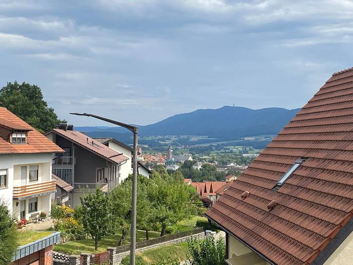 Ferienwohnung für 4 Personen, mit Balkon/Terrasse und Balkon in Furth im Wald - 3