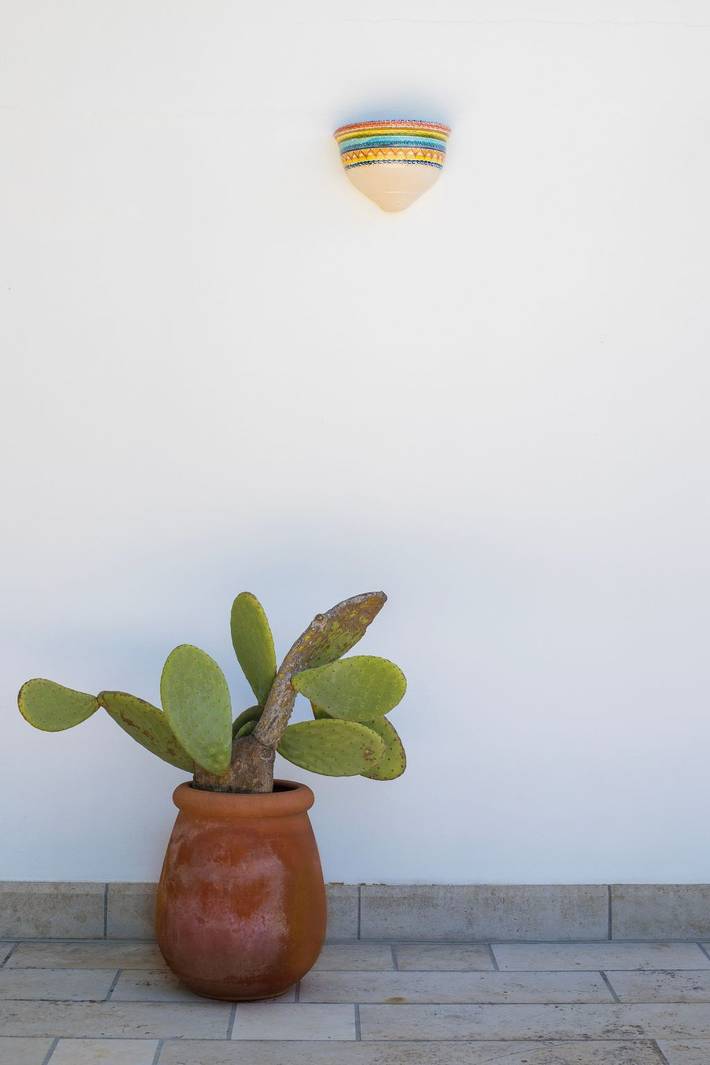 Location de vacances pour 6 personnes, avec piscine ainsi que jardin et terrasse à Casarano - 4