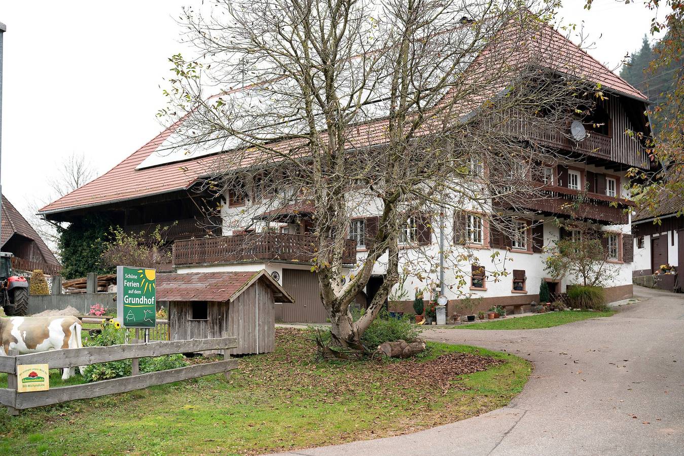 Ganze Wohnung, Ferienwohnung Rose Mit Balkon" mit Gemeinschaftsgarten, Balkon und Wi-Fi in Elzach, Mittlerer Schwarzwald