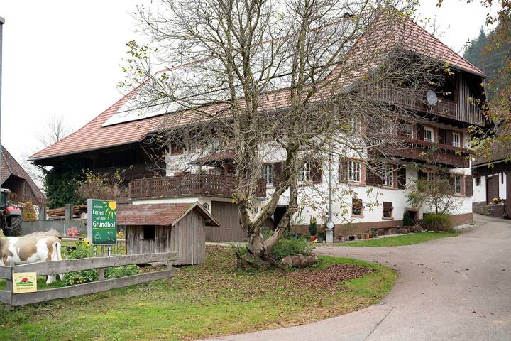 Studio für 2 Personen, mit Balkon und Garten in Elzach - 3
