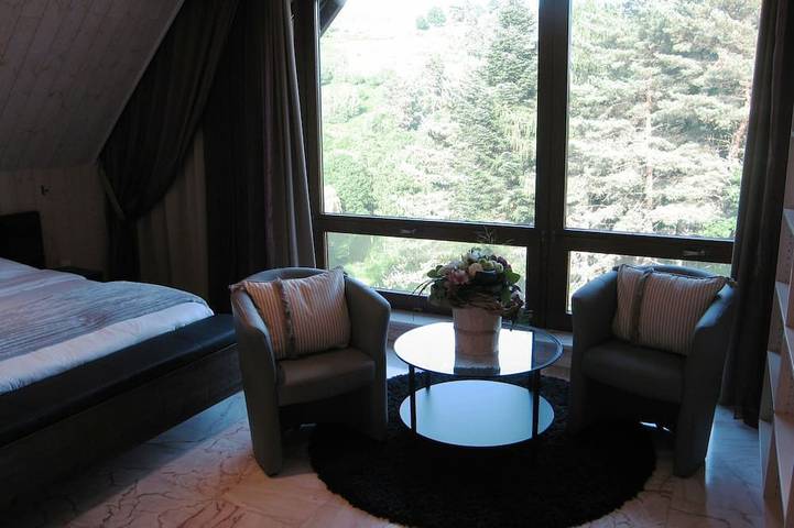 Gîte pour 7 personnes, avec terrasse ainsi que piscine et jardin, animaux acceptés à Soultzeren - 3