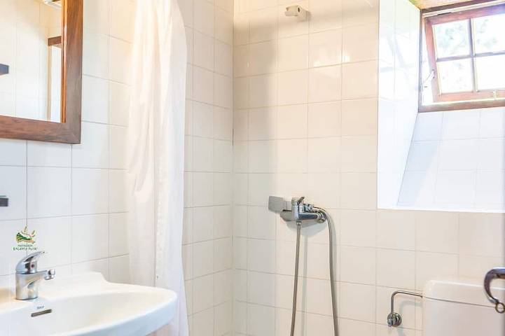 Una verdadera casa canaria creada en el duramen del pino canario in El Pueblo, Puntagorda