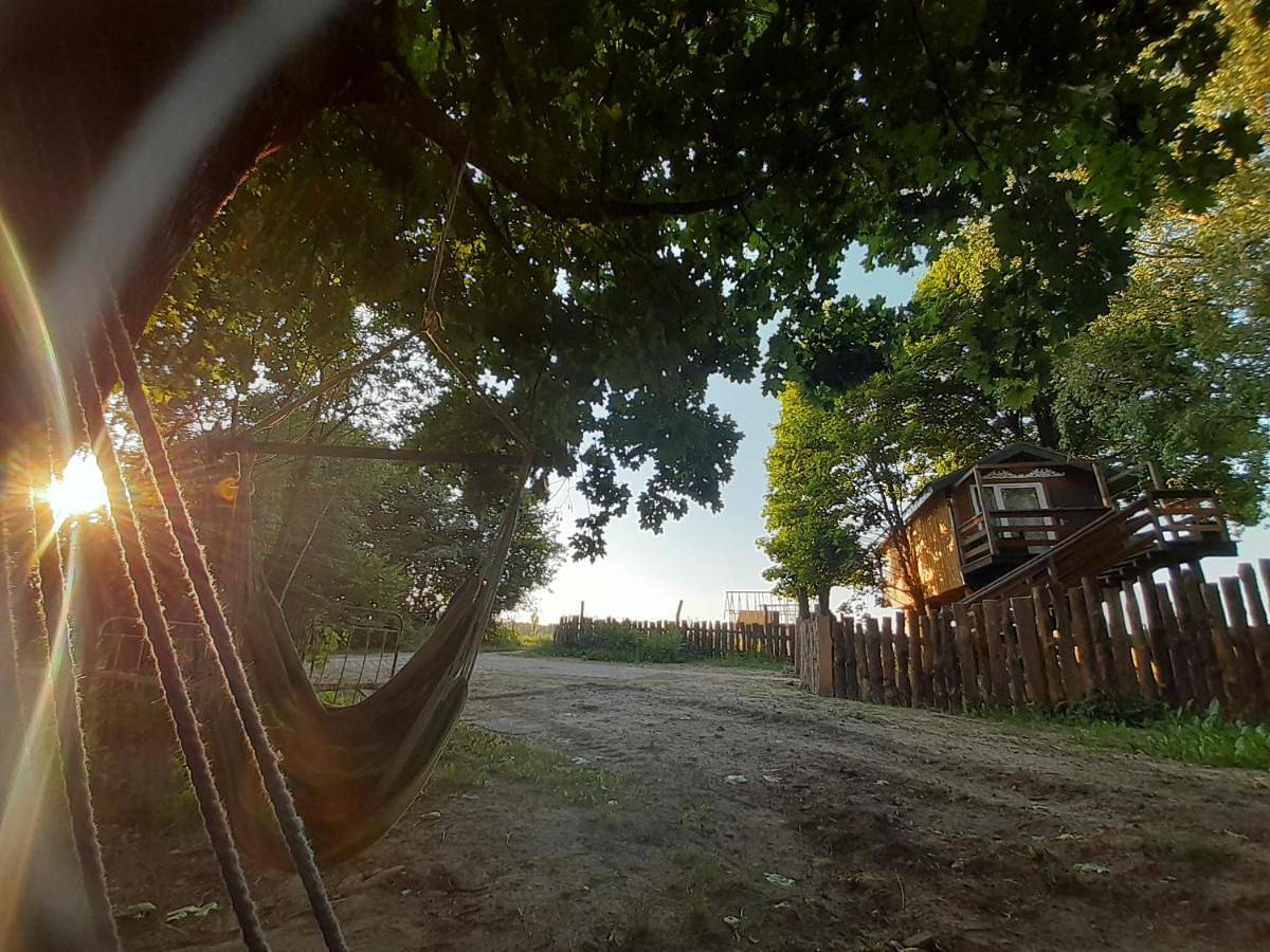 Podlasie Domek na drzewach in Podlasie