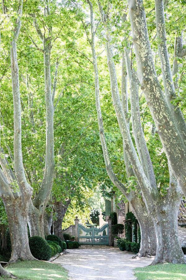 Domaine de Chalamon - Fontenille Collection in Saint-Rémy-de-Provence, Région d'Arles