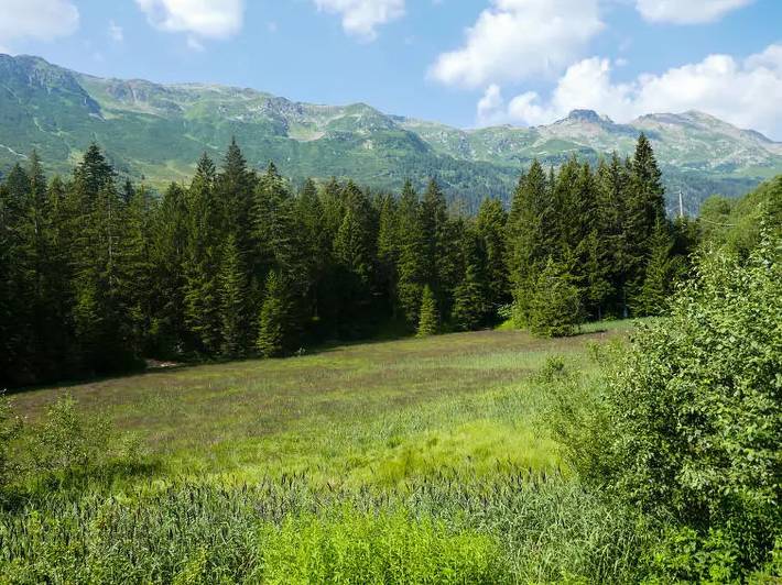 Villa für 5 Personen, mit Garten im Ticino - 2
