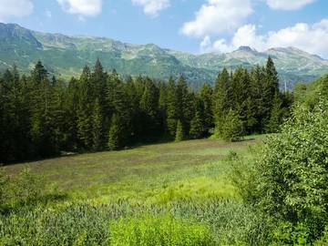 Villa für 4 Personen in Blenio, Tessin, Bild 2