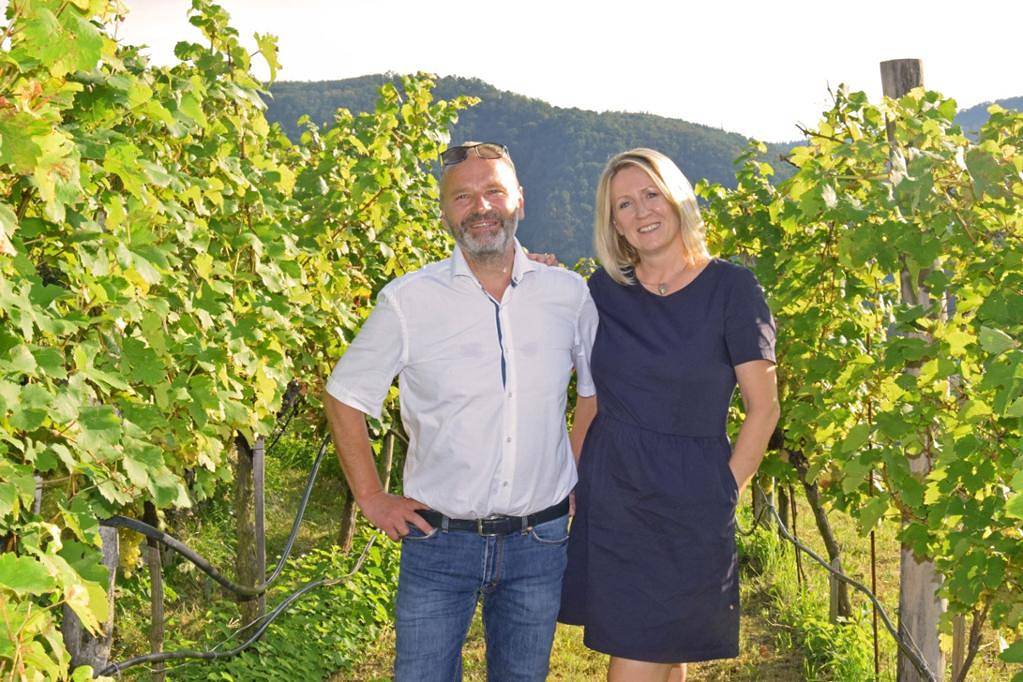Hel ferielejlighed, Weingut Wolfgang Bäuerl - Appartement Loibenberg in Dürnstein, Donau Niederösterreich