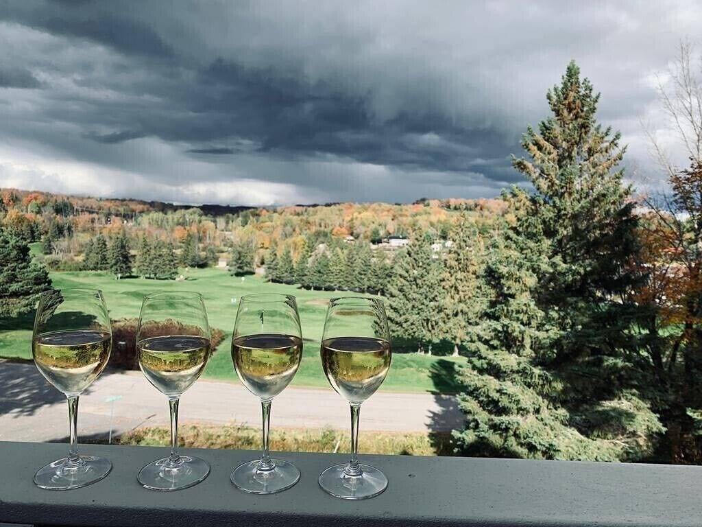 Ganze Wohnung, Modern Muskoka Executive 2 Bedroom Condo/Loft. Minutes to the Provincial Parks! in Muskoka