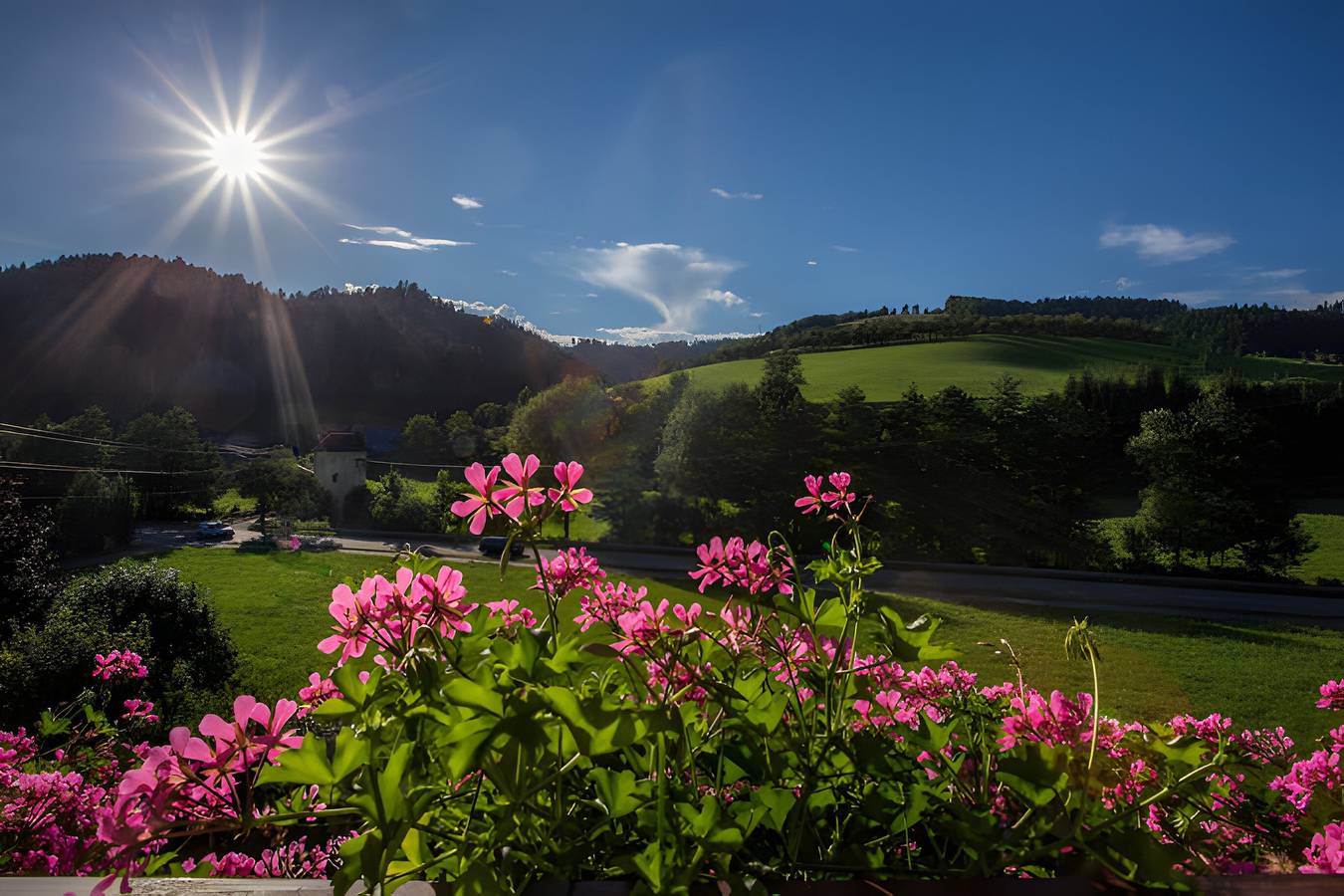 Ganzes Studio, Studio 'Kornblümchen' mit privater Terrasse, Gemeinschaftsgarten und Wlan in Oberharmersbach, Mittlerer Schwarzwald