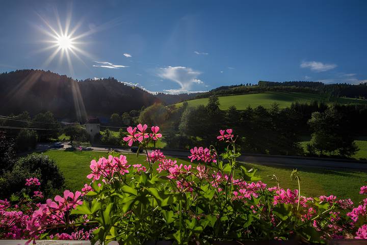 Studio für 2 Personen, mit Balkon und Garten in Oberharmersbach - 3
