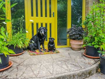 Cottage voor 2 Personen in Langdon, Kent, Afbeelding 2