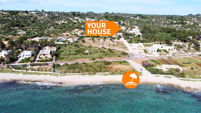 Mor010Bcd in Torre Vado, Golfo de Tarento