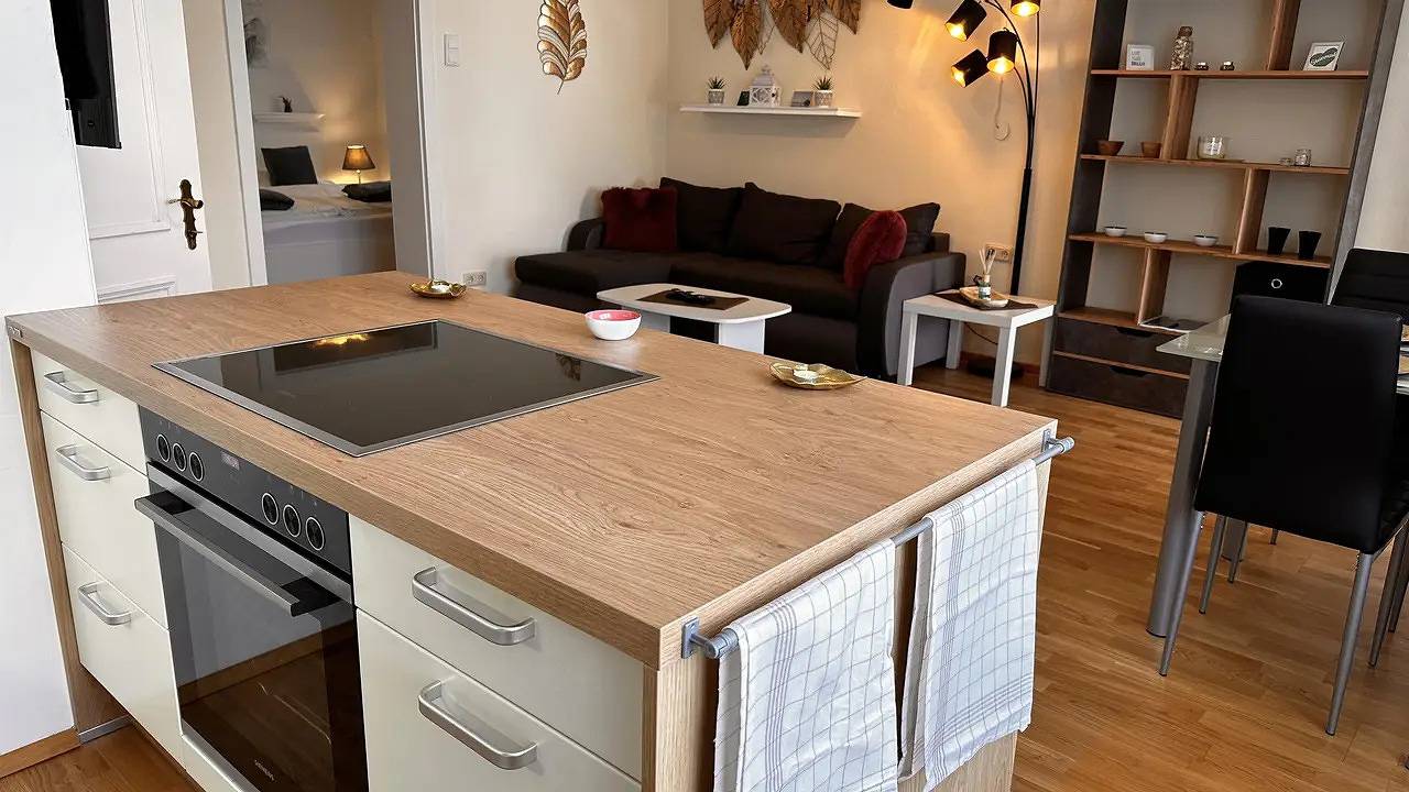 Ganze Ferienwohnung, Ferienwohnung für 3 Personen (40 m²) in Burgau in Steirerland
