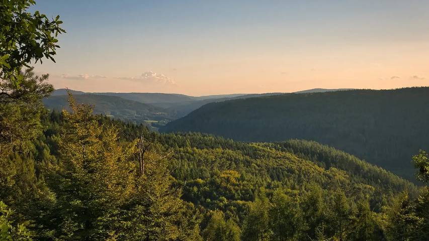 Ferienwohnung für 2 Personen, mit Garten in Main-Odenwald - 3