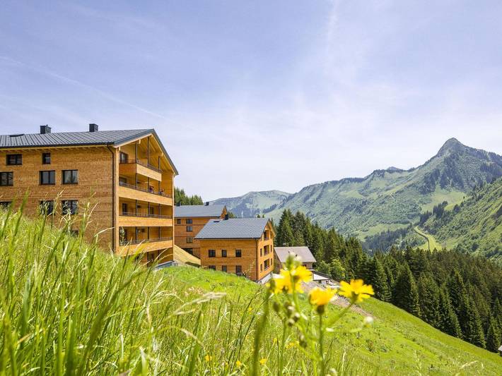 Ferienwohnung für 4 Personen, mit Terrasse in Damüls