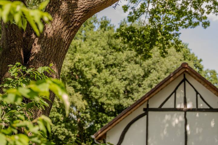 Woodz Lodges — Villa Lodge mit Whirlpool | 8 Personen in Heusden-Zolder, Hasselt und Umgebung
