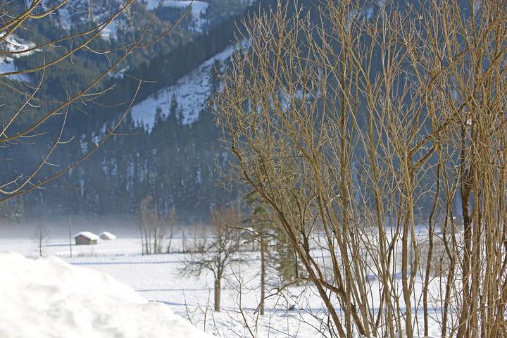 Ferienhaus für 6 Personen in Dachstein Salzkammergut - 4