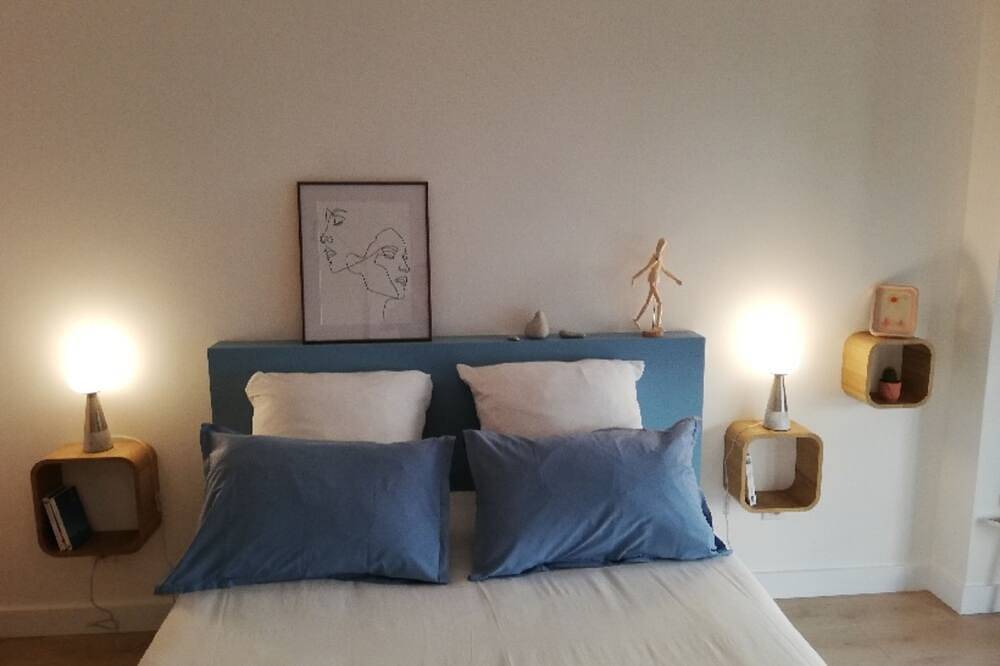 Entire apartment, Charming studio in the center of Place Clémenceau in Pau, Béarn