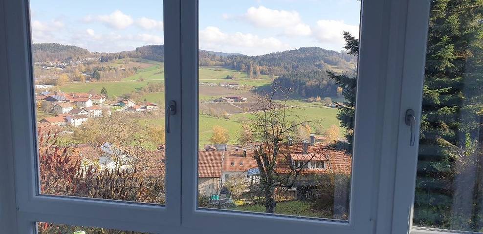 Ferienhaus für 8 Personen, mit Garten, kinderfreundlich in Grafenau - 2
