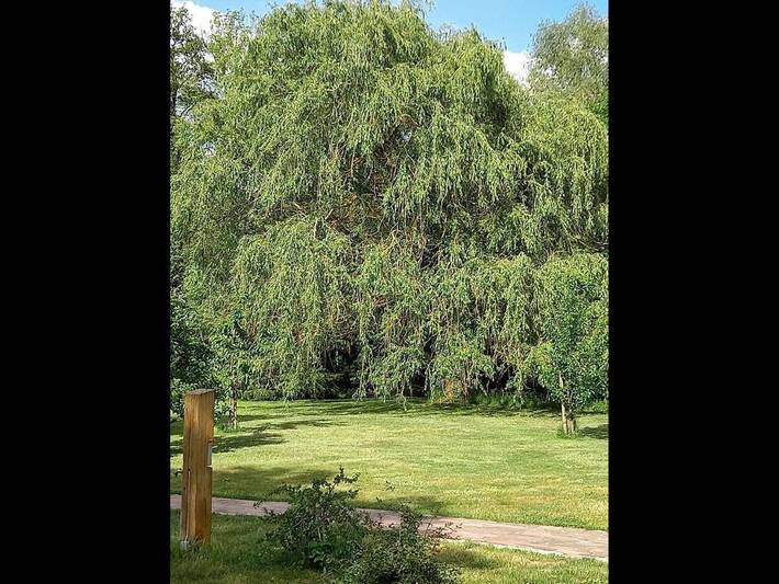 Ferienhaus für 5 Personen, mit Terrasse und Garten in Eschede