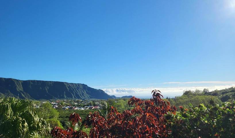 Location de vacances pour 4 personnes, avec jardin ainsi que vue et terrasse à La Plaine-des-Palmistes - 3