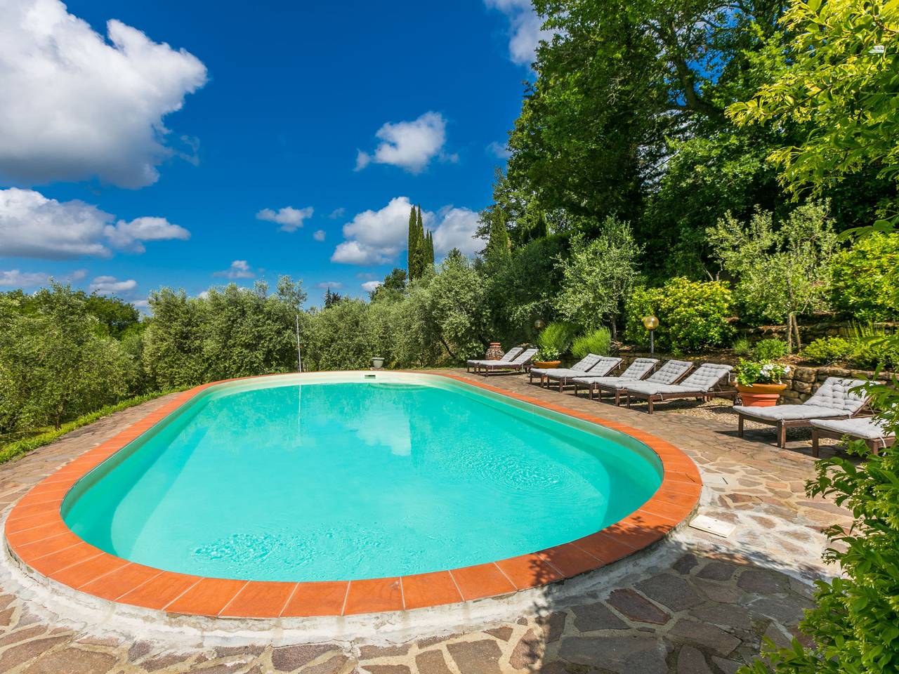 Ortensia in Greve In Chianti, Chianti