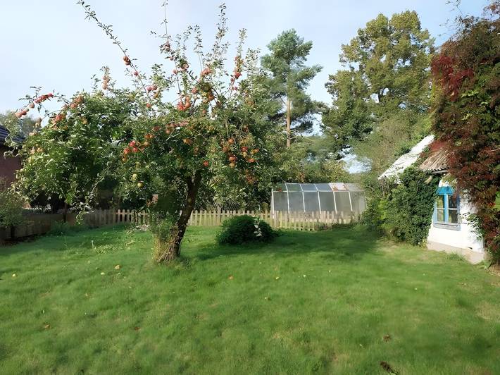 Ferienwohnung für 4 Personen, mit Garten, mit Haustier in Stralsund Umland - 3