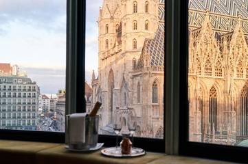 Hotel für 3 Personen, mit Terrasse und Ausblick, mit Haustier in Stephansdom