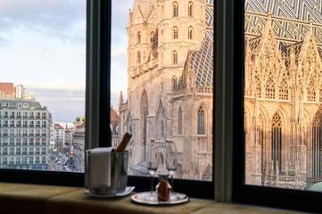 Hotel für 3 Personen, mit Terrasse, mit Haustier in Stephansdom