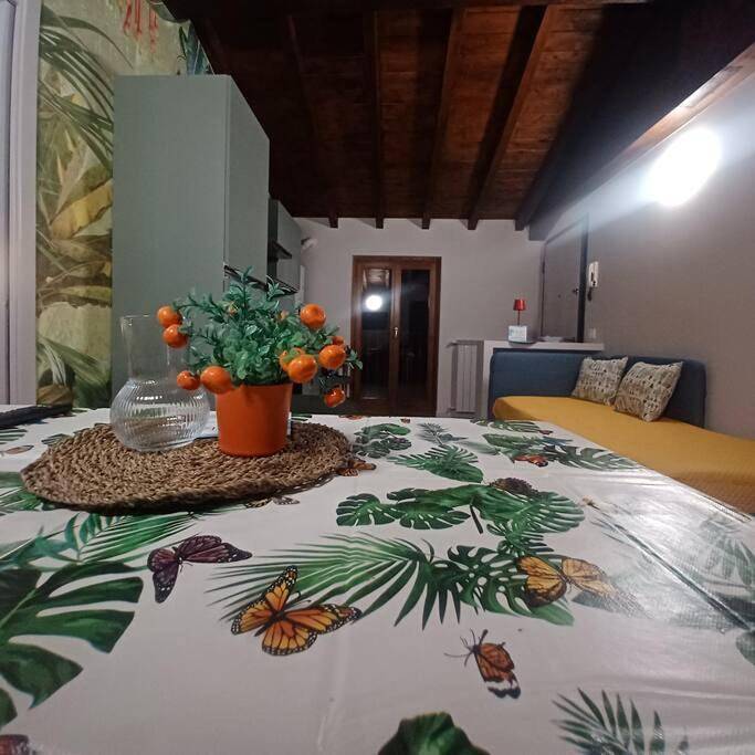 Appartamento vacanze per 4 persone, con panorama, con animali domestici in Franciacorta