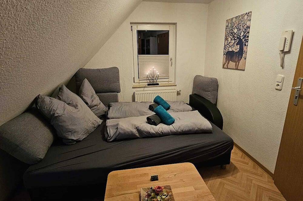 Ganze Wohnung, Gemütliche Einraumwohnung in Apolda, Weimarer Land
