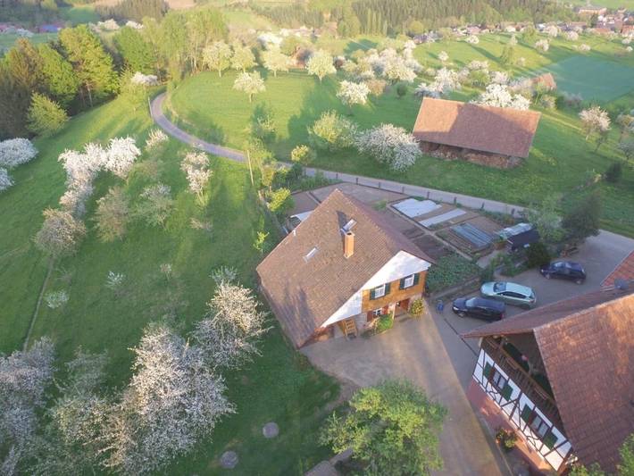 Location de vacances pour 7 personnes, avec vue et balcon à Zell am Harmersbach - 4