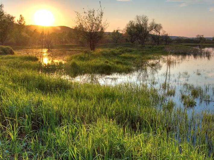 Ferienpark für 6 Personen, mit Garten und Pool, mit Haustier am Jadebusen - 3