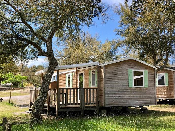 Mobil home pour 4 personnes, avec piscine et terrasse dans Etang De Soustons - 2