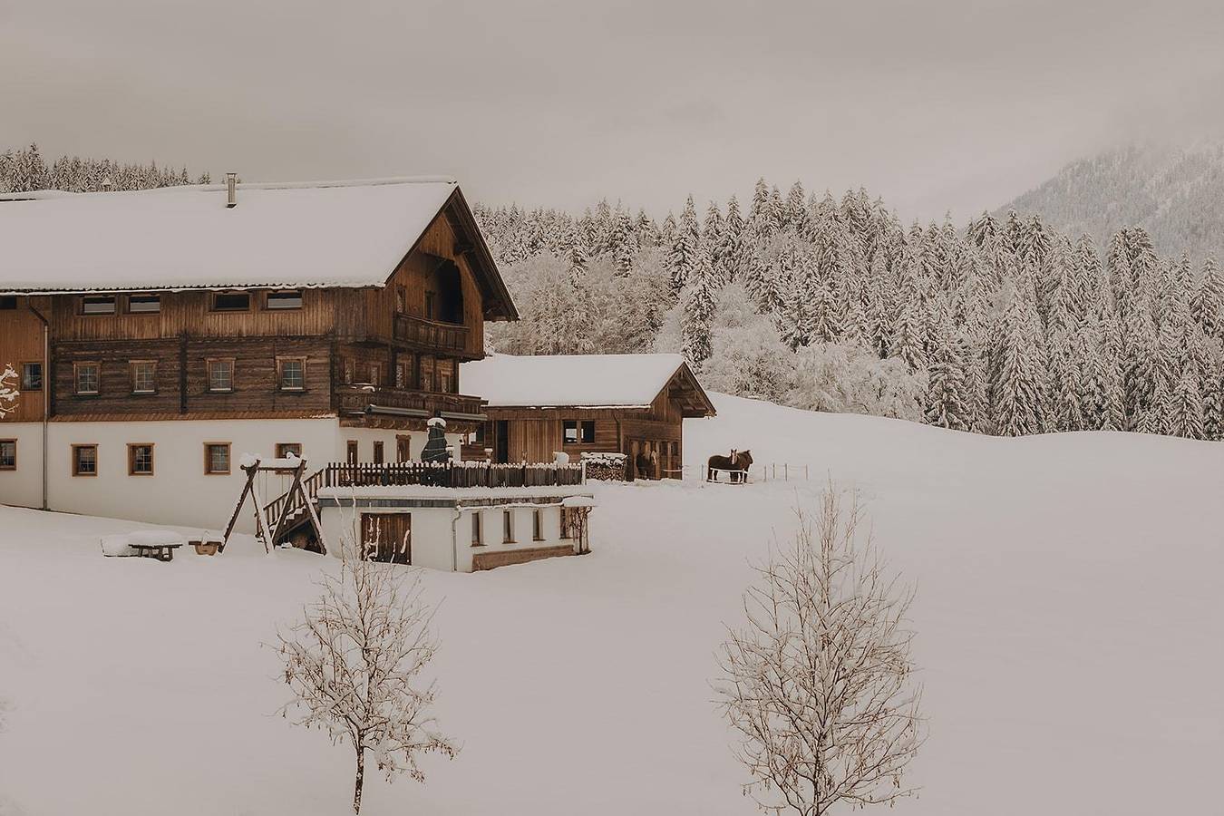 Ferienwohnung Tuxerhof in Achenkirch, Brandenberger Alpen