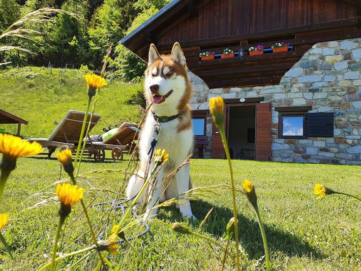 Chalet pour 4 personnes, avec jardin dans les Alpes - 2