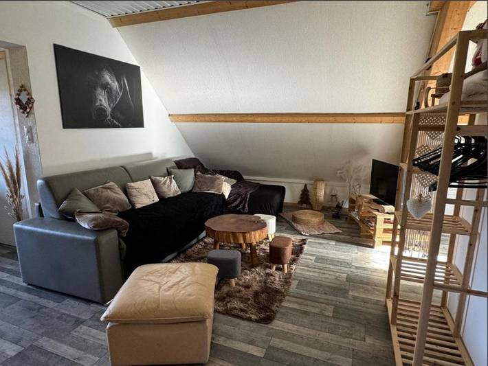Gîte pour 9 personnes, avec terrasse et jardin dans Bourg-Bruche