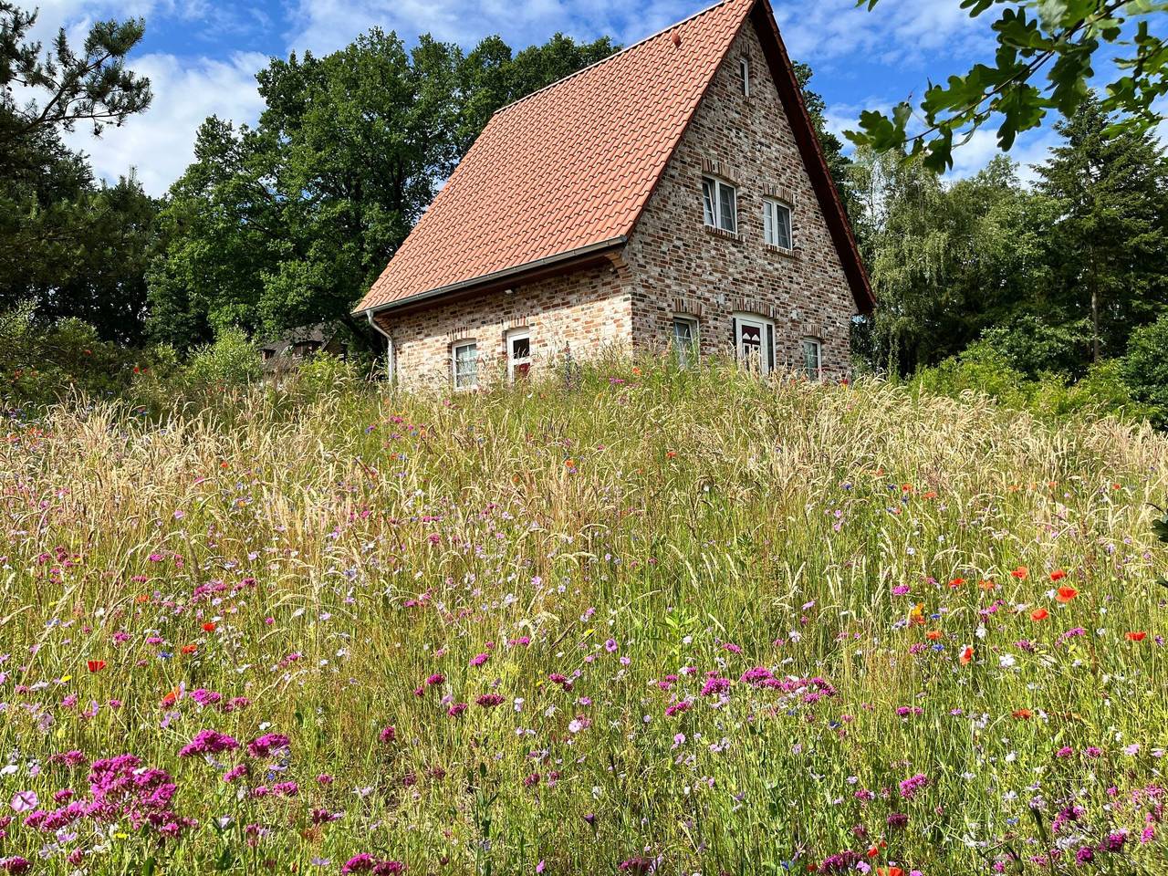 Haus Felsenbirne im Bispinger Heidezauber in Bispingen, Landkreis Heidekreis