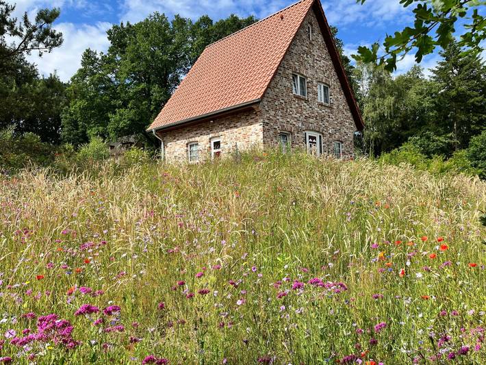 Ferienhaus für 4 Personen, mit Garten in Bispingen - 3