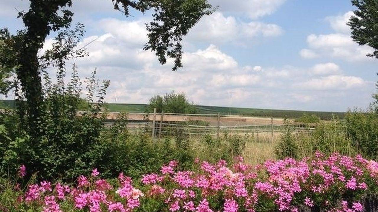 Ganze Ferienwohnung, Ferienwohnung für 6 Personen (70 m²) in Flonheim in Flonheim, Kurpfalz