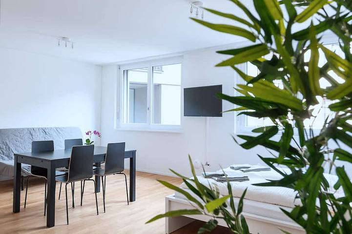 Apartamento entero, Bs Lynx Ii - Fair Hitrental Apartment in Basel Zustellkreis, Basilea